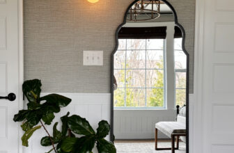 The Number One Reason Your Houseplants Are Dying |...