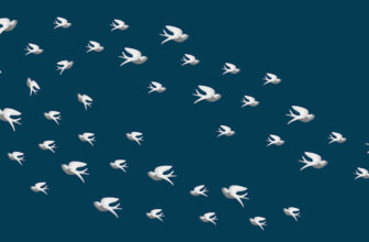 Ceramic Bird Arrangement On Bedroom Wall – P...